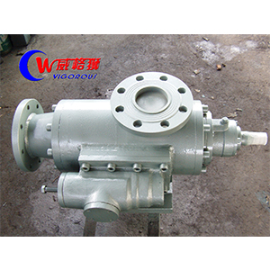 2GD系列高粘輸送泵圖二產(chǎn)品圖2